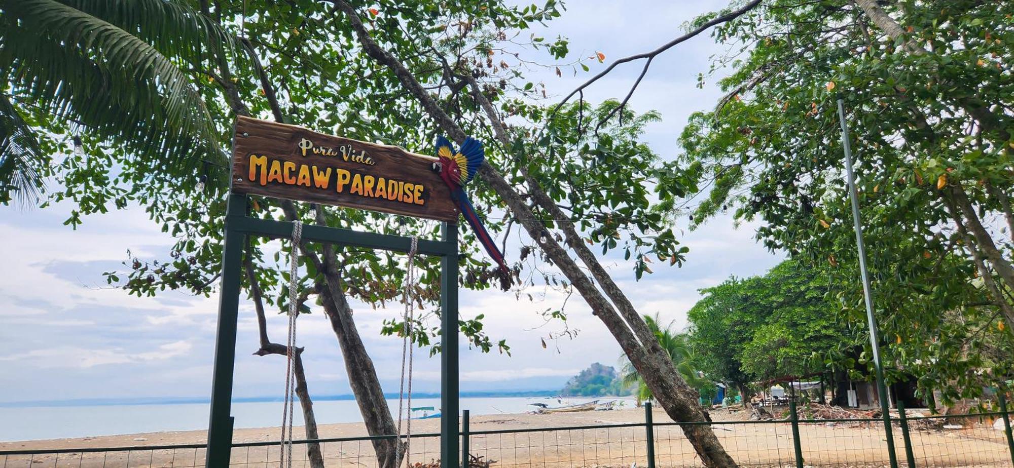 Macaw Paradise Jacó